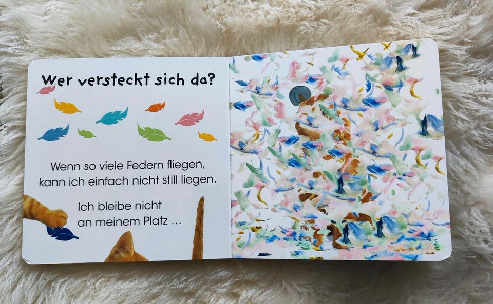 Buch kinderbuch babybuch mit dicken Seiten Hund unn Katze in Jettingen