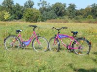 Urlaubsreif? Entspannung in der Natur - Ferienwohnung Spreewald Brandenburg - Calau Vorschau