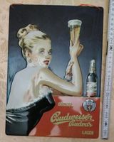 Blechschild Bier Werbetafel H29 B21 (DIN A4) Versand möglich Sachsen - Hainewalde Vorschau