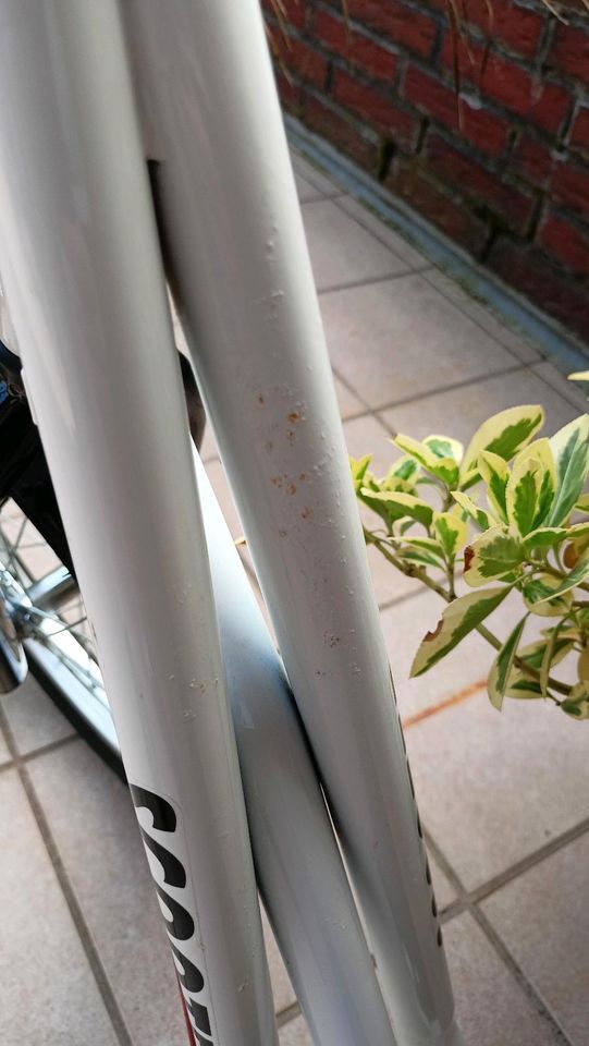 Scooter Cityroller Roller in Neukirchen-Vluyn