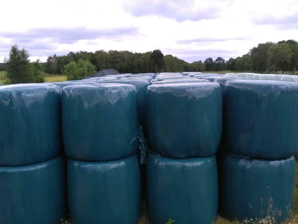 40 x Öko Bio Silage Ballen Siloballen für Vieh Lkw Lieferung in Lamstedt