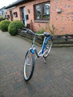 Gepflegtes 28Zoll Hercules Damenfahrrad 50RH 4Gang Shimano Nex Schleswig-Holstein - Großenwiehe Vorschau