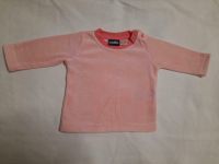 NEU * Langarmshirt * Longsleeve Gr. 50/56 Lupilu Niedersachsen - Lehrte Vorschau