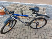 Mountainbike Biria 26 Zoll top Zustand Sachsen - Göda Vorschau