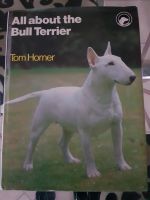 All about the Bull Terrier Buch in englisch Niedersachsen - Eicklingen Vorschau