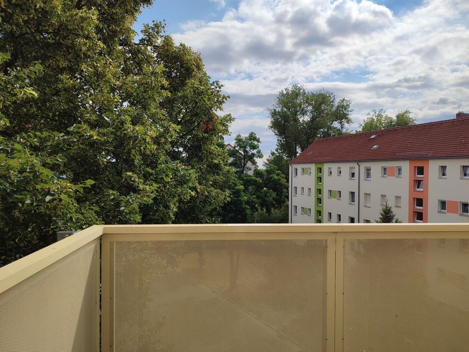*Hereinspaziert*3-Zimmerwohnung mit Balkon plus 1 Monat kaltmietfrei! in Riesa