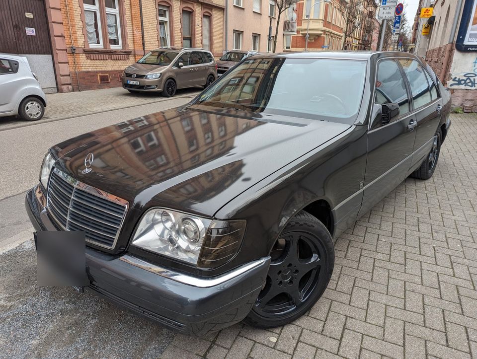 Mercedes Benz S420L, für Film, Foto, Hochzeit und Events. in Ludwigshafen