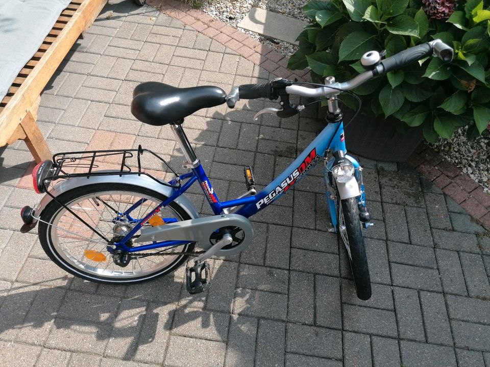 Fahrrad Pegasus 20 Zoll in Schwülper