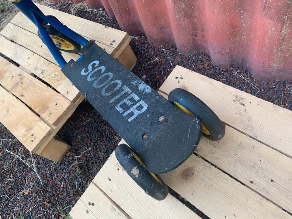 Scooter für Kinder Kinderscooter  Tretroller Roller Dreiräder in Lamstedt