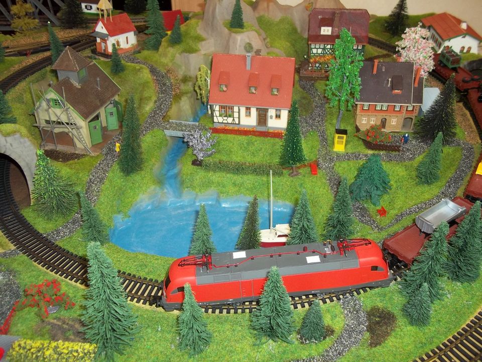 Modelleisenbahn Fertiggelände Noch H0 digital Eisenbahn z21 ROCO in Niederaula