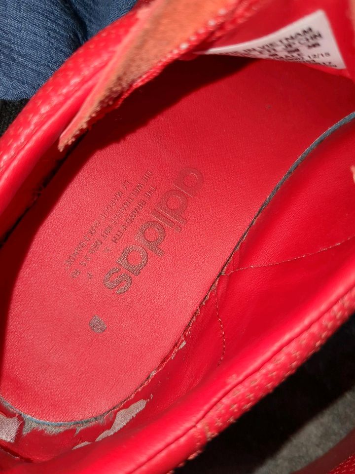Rote Adidas Schuhe (Gr. 39) in Dortmund