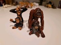 Schleich Orang-Utan    Schimpanse  Affen ab 3€ Schleswig-Holstein - Fockbek Vorschau