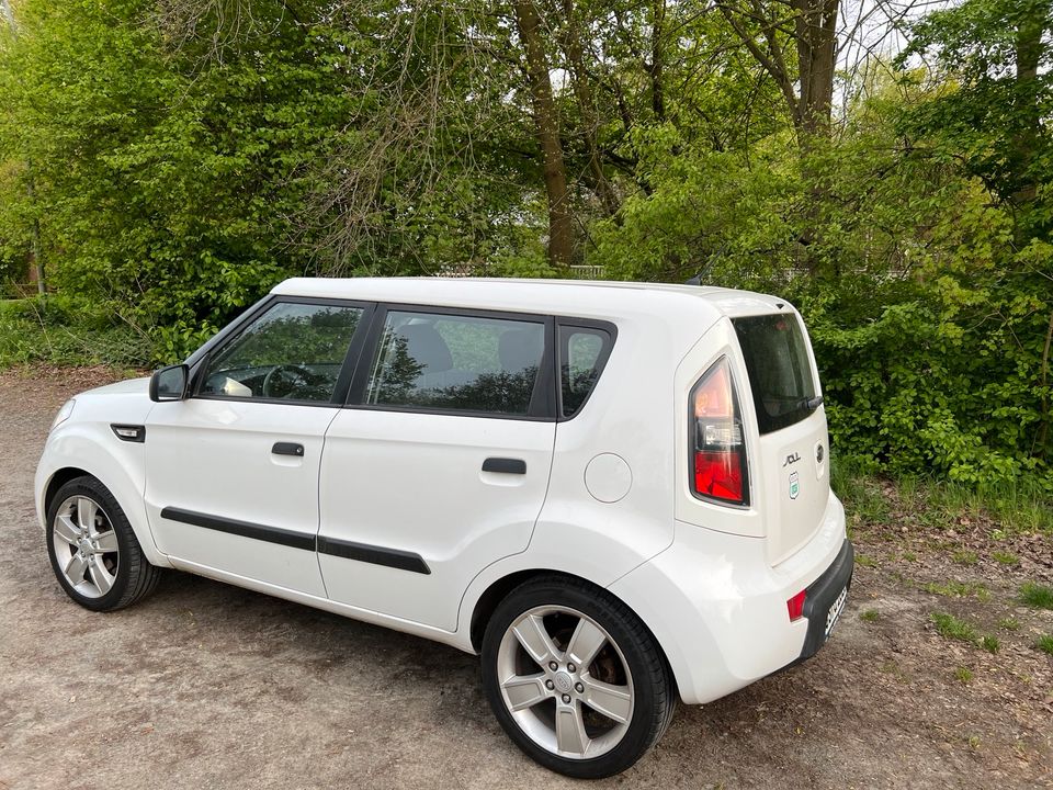 Kia Soul Attract Klima 18 Zoll Alu und 15 Zoll Alu in Osnabrück