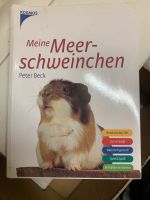 Meine Meerschweinchen, Peter Beck Bayern - Neufahrn Vorschau