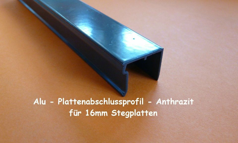 Alu -Kombi -Verlege-Mittelprofil - für 16mm Stegplatten 12,25 € in Olfen