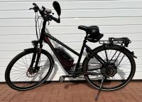 Raleigh E-Bike Niedersachsen - Neuenkirchen-Vörden Vorschau