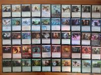 100 Foil Uncommons & Commons Karten Magic the Gathering MTG! Münster (Westfalen) - Wienburg Vorschau