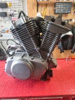 Suzuki VX800 Motor Sachsen-Anhalt - Haldensleben Vorschau