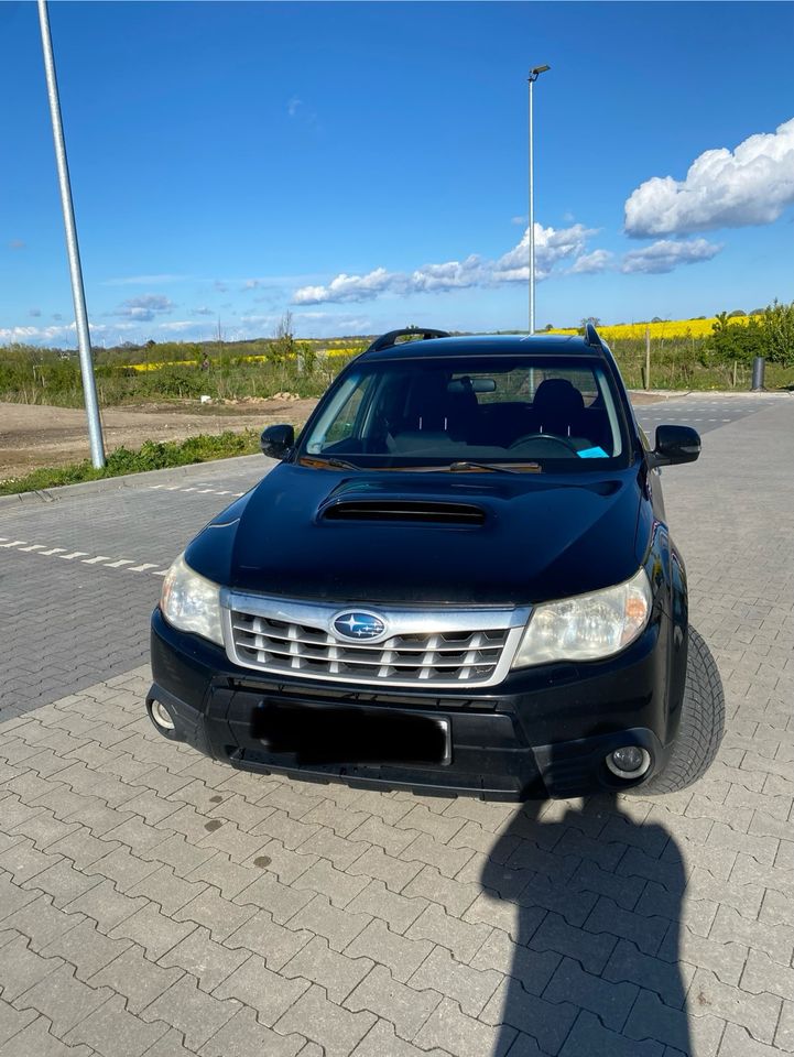 Subaru Forester 2.0D in Neustadt in Holstein