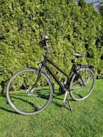 Maxcycles Damenrad 28 Zoll Fahrrad Rad Nordrhein-Westfalen - Saerbeck Vorschau