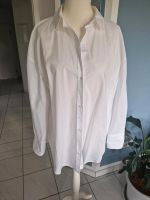 Pull&Bear Longbluse L Neu Nordrhein-Westfalen - Grevenbroich Vorschau