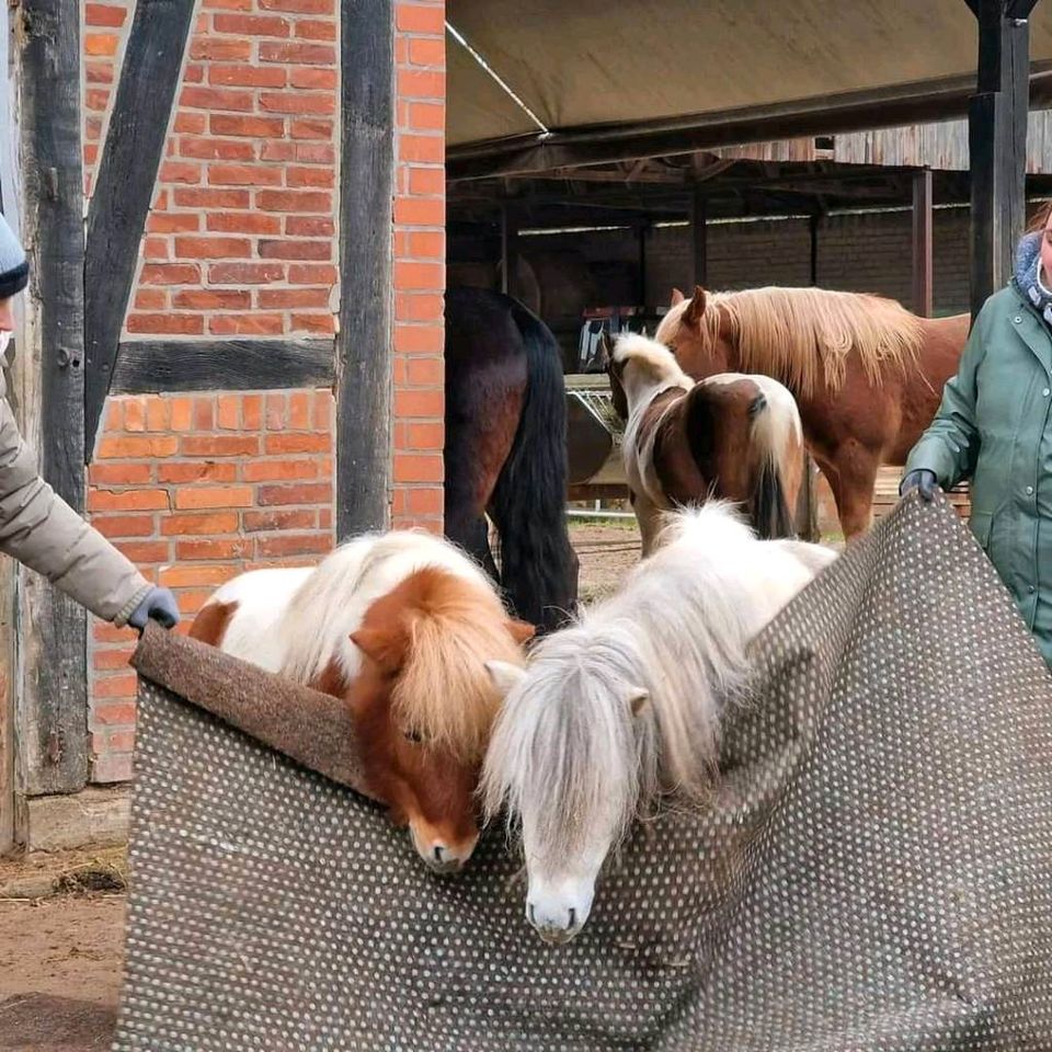 Mobile Pferdewaage kommt zu euch - Touren Übersicht Pferde wiegen in Wangelau