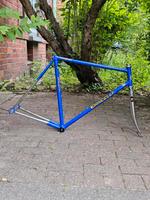 Dancelli Rahmen 56cm Rennrad Campagnolo Retro Vintage TOP Altona - Hamburg Altona-Altstadt Vorschau