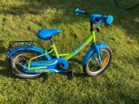 Kinderfahrrad Fips 16“ Sachsen - Freiberg Vorschau