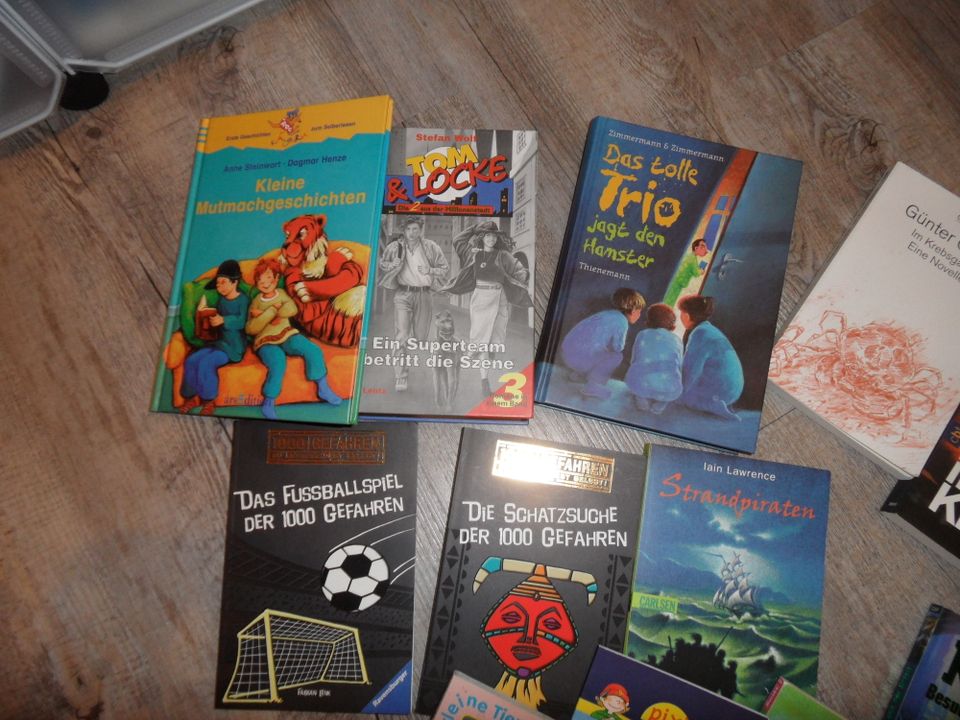 Kinderbücher Jugendbücher 13 Stück Konvolut in Heroldsberg