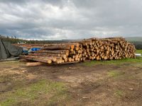 Brennholz | Kaminholz Thüringen - Saalfeld (Saale) Vorschau