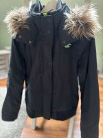 Hollister Jacke Niedersachsen - Neuenkirchen-Vörden Vorschau