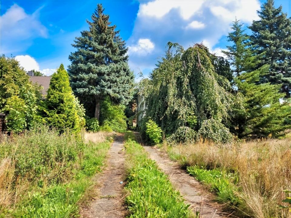 Reizvolles Sanierungsprojekt im Herzen von Döbern in Döbern