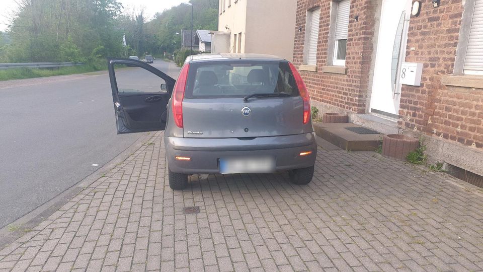 Fiat punto in Arnsberg