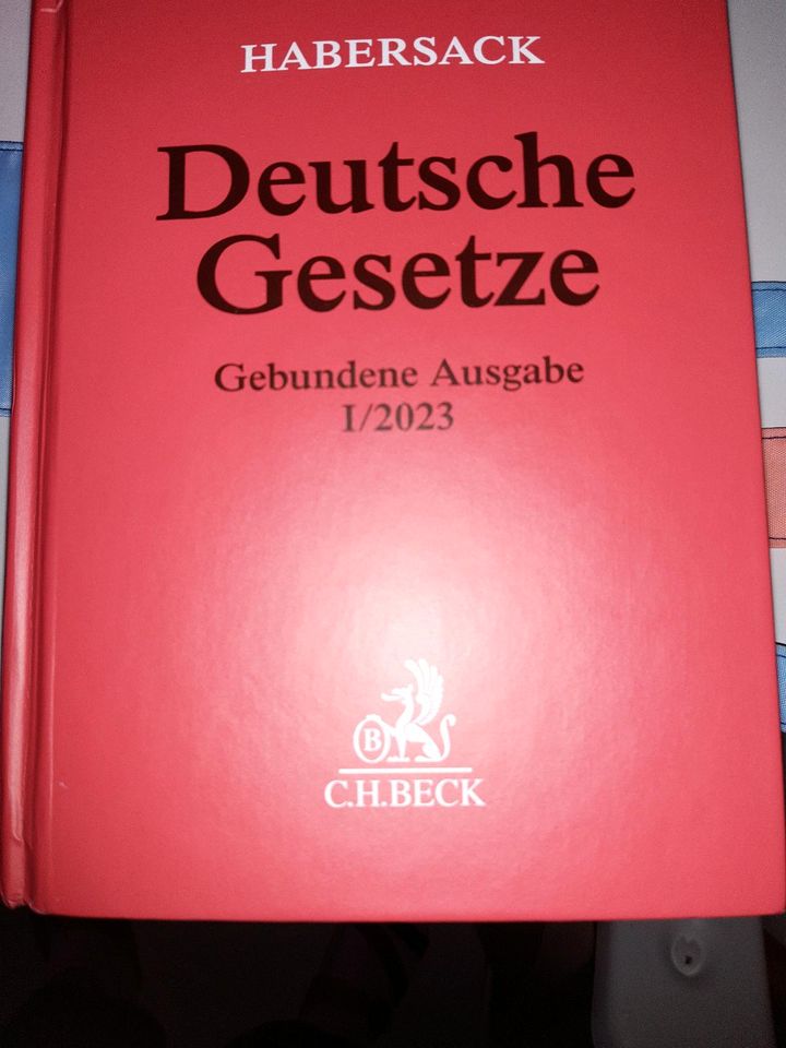 Gesetzesbücher in Mainz