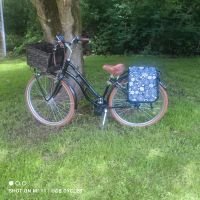 **Fahrrad zum E-Bike / Pedelec Umbauen Dogscooter Umbauen** Nordrhein-Westfalen - Gladbeck Vorschau