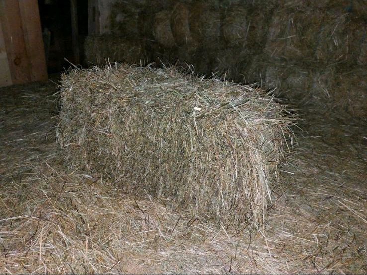 Heu HD-Ballen kleine Ballen Top Qualität Staubarm in Rimbach