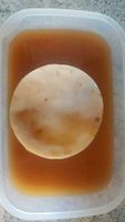 Kombucha Scoby Pilz Baden-Württemberg - Korntal-Münchingen Vorschau