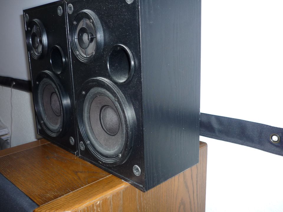 Bose  Interaudio 2000 XL Lautsprecher in Kamp-Lintfort