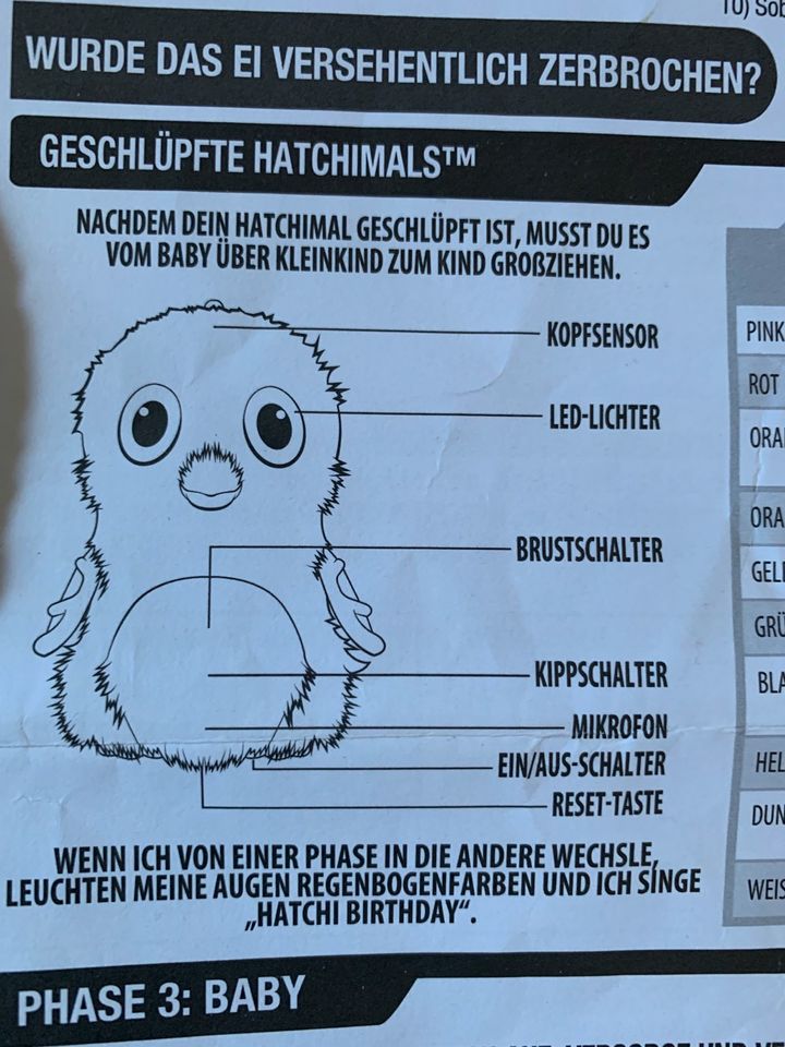 Hatchimal grün in Wilmshagen