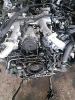 Motor  Audi Q7 BTR 4,2TDI 326PS  77TKM komplett Mecklenburg-Vorpommern - Neubrandenburg Vorschau