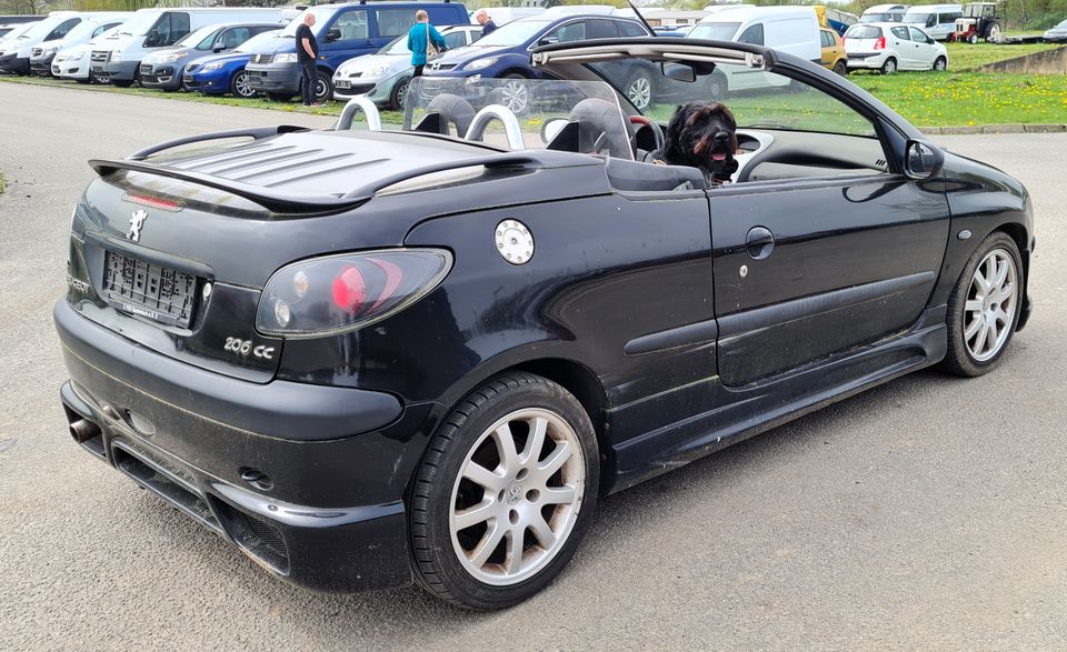 Peugeot 206CC Cabrio in Rostock