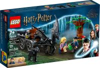 LEGO® Harry Potter 76400 Hogwarts™ Kutsche mit Thestralen - NEU Berlin - Schöneberg Vorschau