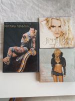 Britney spears cd dvd femme fatale greatest Hits Circus Konzert Köln - Niehl Vorschau