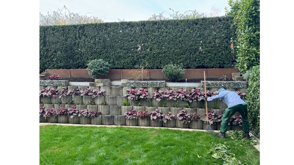 Wir bieten Gartenarbeit! ( Alles was zur Gartenarbeit gehört) in Taunusstein