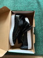 Puma Sneaker Nordrhein-Westfalen - Swisttal Vorschau