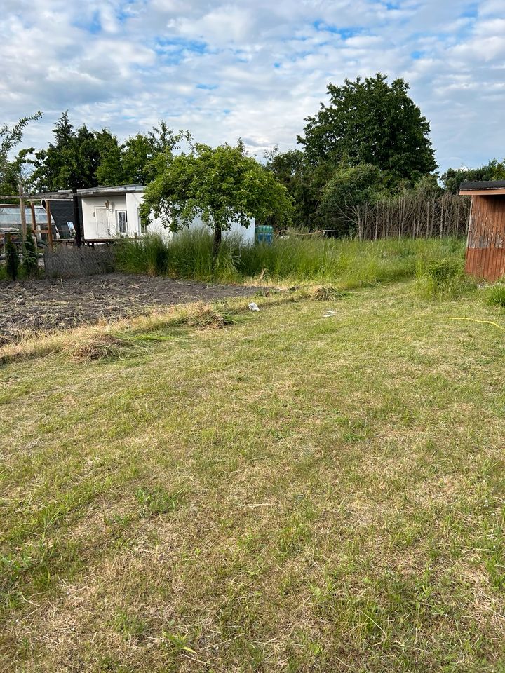 Garten am Glockenort in Stendal