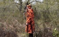 Drückjagd camouflage / orange Regen- Poncho Treibjagd Jagd Jäger in Gütersloh