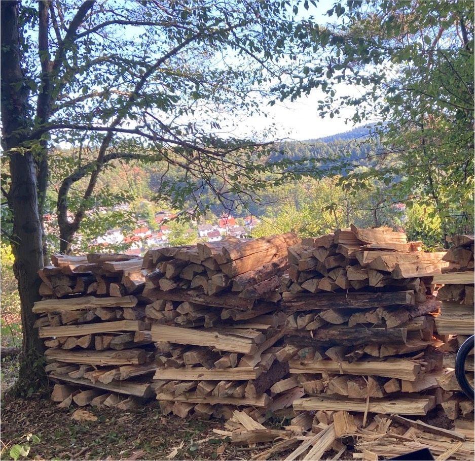 Lohnspalten   Brennholz      Forsttätigkeiten v. Odenwald in Schriesheim