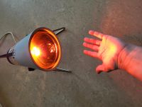 Infrarot infralampe lampe ddr sollux funktioniert Friedrichshain-Kreuzberg - Kreuzberg Vorschau