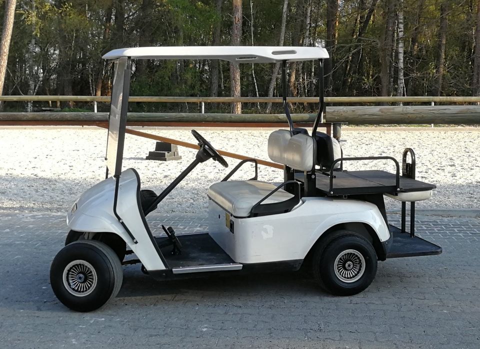 S U C H E     Elektro - Golfcart Golfcar Ankauf, auch defekt.. in Greven